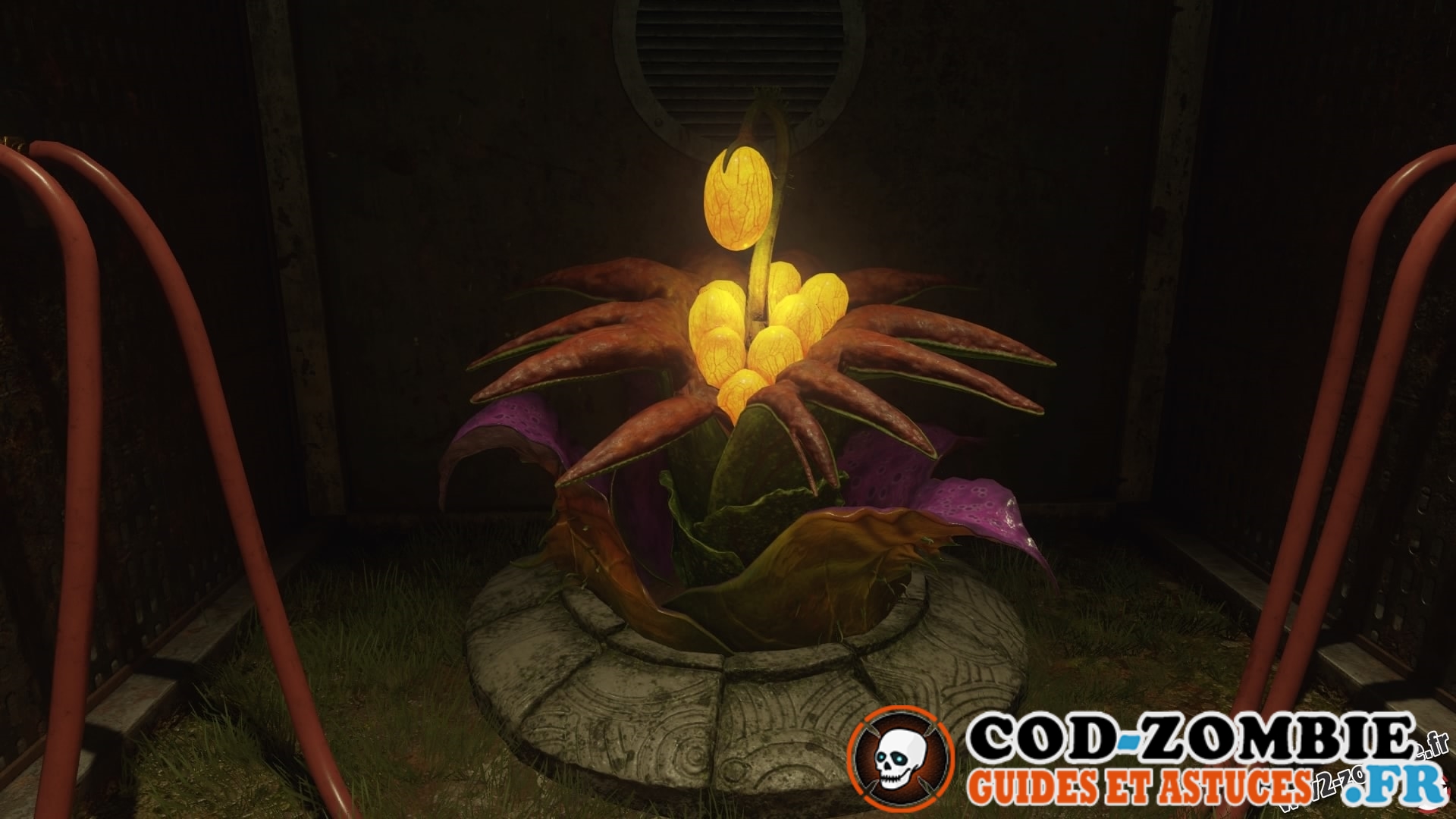 Les plantes - COD Zombie : guides et astuces